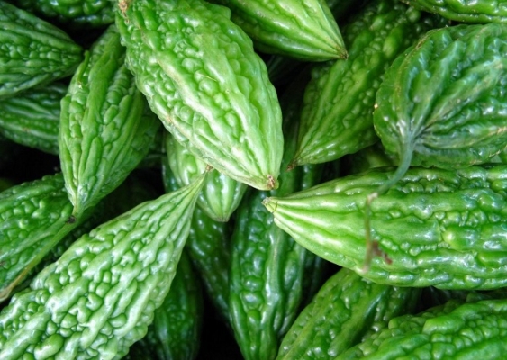 bitter-gourd-2.jpg