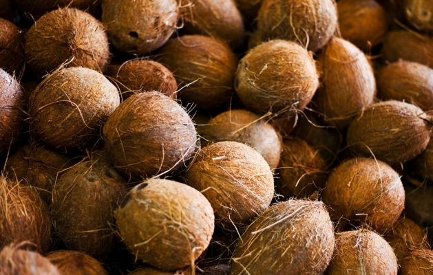 coconut.jpg