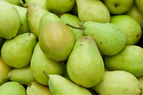oregon-pears-cropped.jpg