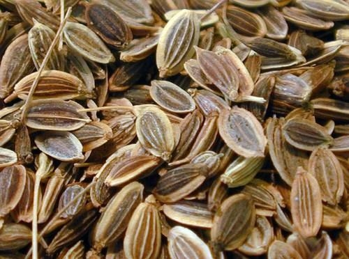 DILL SEED.jpg