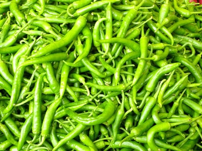 मिर्च कि फसल
