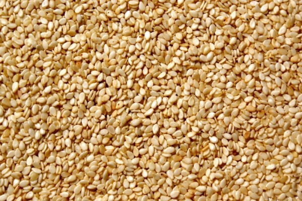 SESAME.jpg
