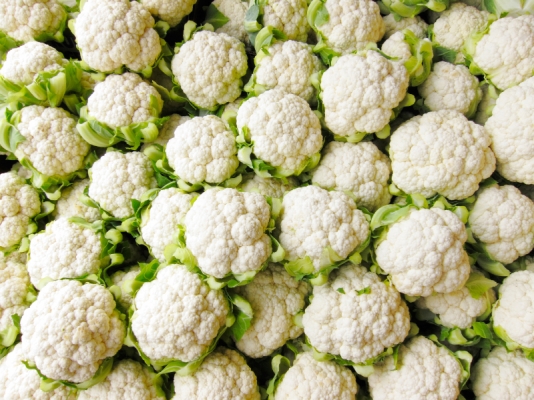 Irrigation of Cauliflower