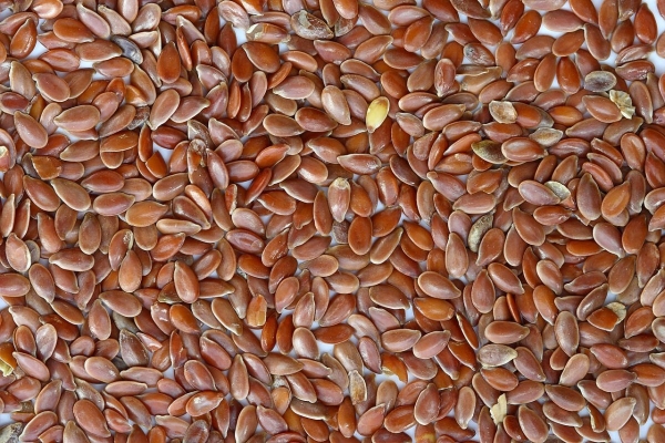 LINSEED.jpg