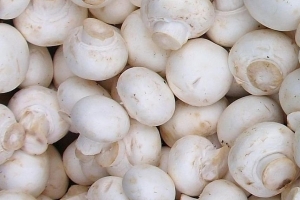 white-button-mushrooms.jpg