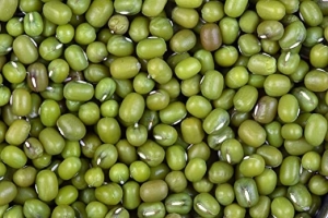 81lruH1RaTL._SX522_.jpg