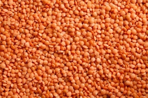 product_pulses_lentils_red_lentils_whole_large.jpg