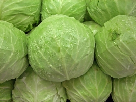 cabbage.jpeg