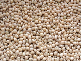 Cowpea-Rice-Pea1.jpg