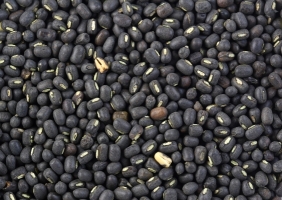 Black_gram.jpg