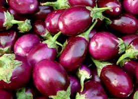 Brinjal Crop Information