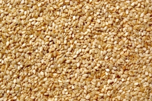 SESAME.jpg