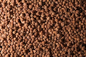 desi-black-chana-1551177970-4751049.jpeg