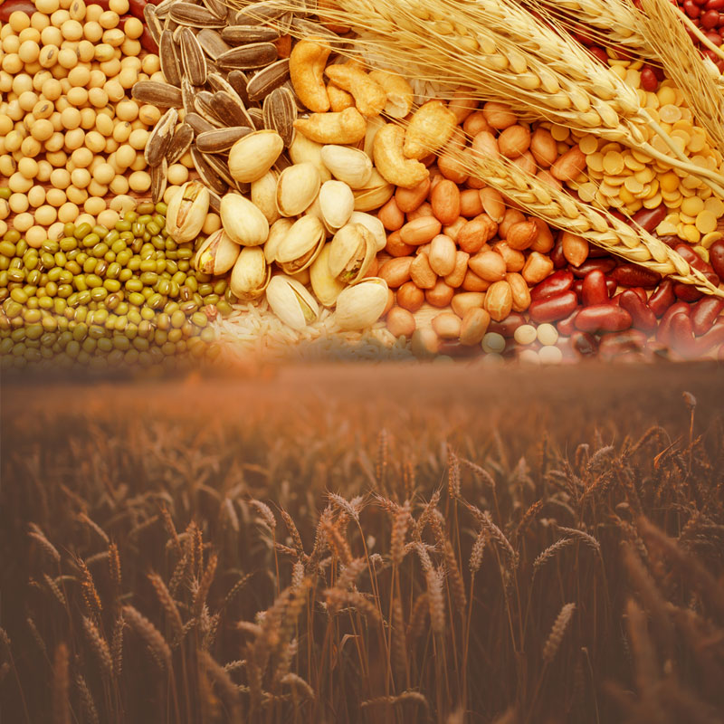 8259-food-grain.jpg