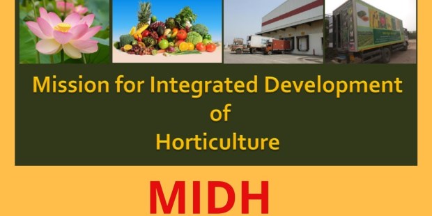 Government Scheme: Integrated Development of Horticulture (MIDH) | Govt. Agricultural Schemes