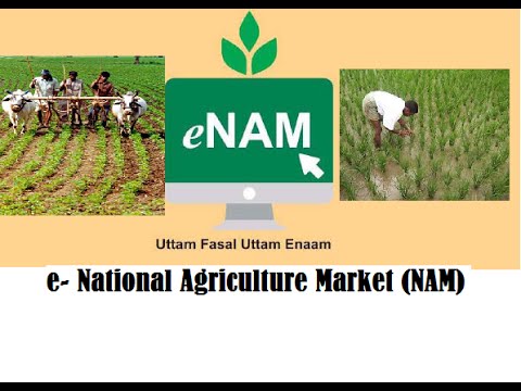 Government Scheme: National Agricultural Market Scheme (e-NAM) | Govt. Agricultural Schemes