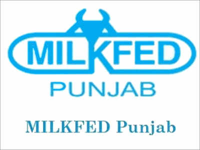 1339-milkfed_punjab.jpg