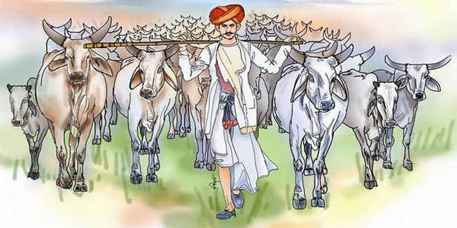 1619-cow.jpg