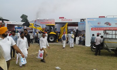 3815-mel.jpg