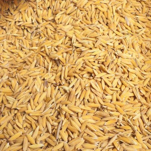 5847-pusa_basmati.jpg