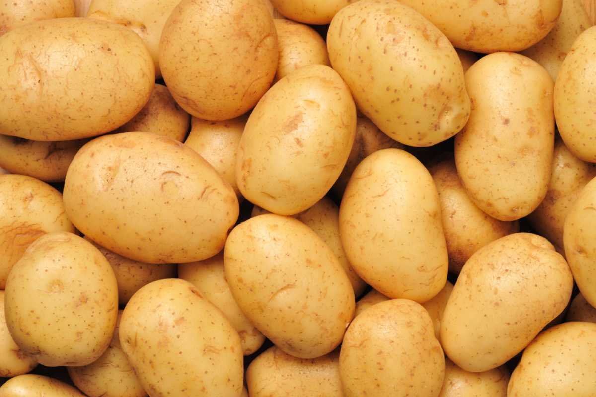 8761-potato.jpg