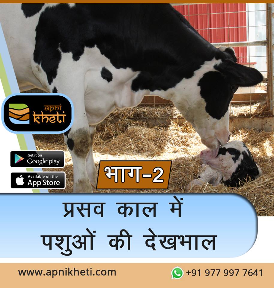 8965-bhag_2.jpg