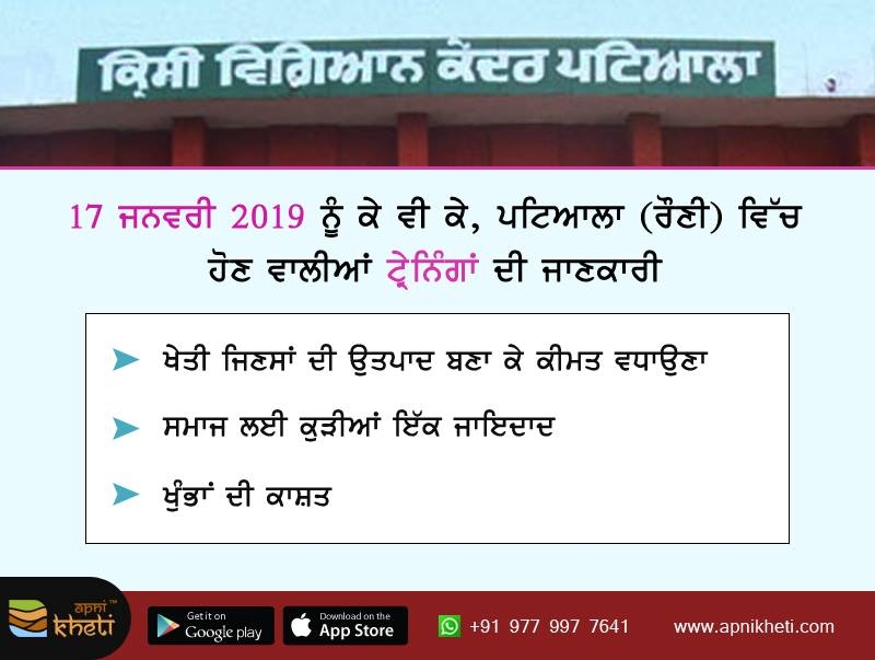1562-patiala.jpg 1562-patiala.jpg