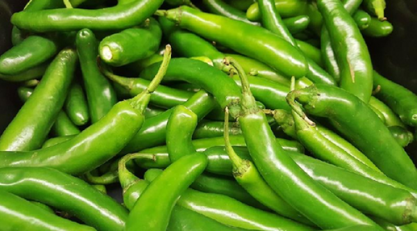 2248-fresh-green-chilli-vegetables-500x500.png