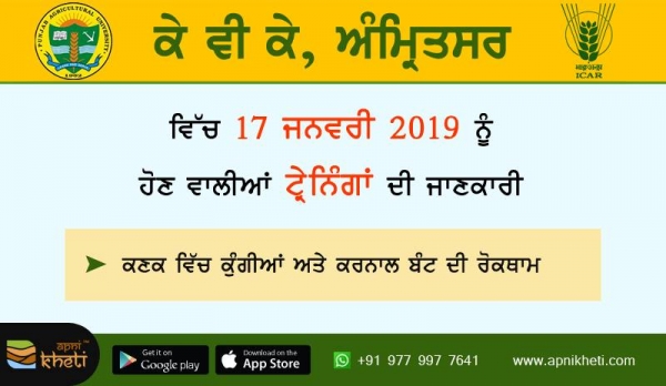 4665-amritsar.jpg 4665-amritsar.jpg