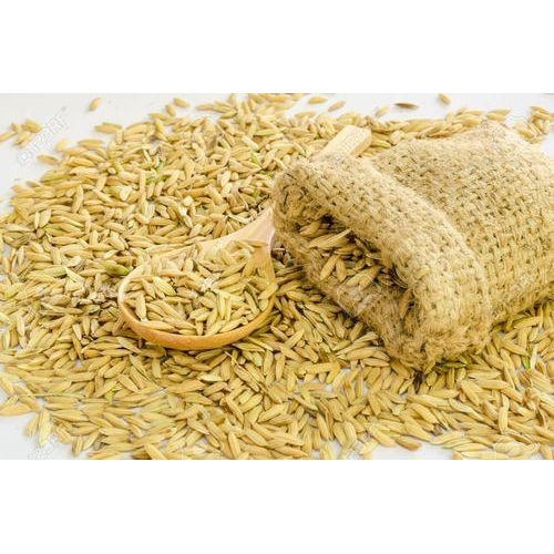 4688-paddy_seed.jpg