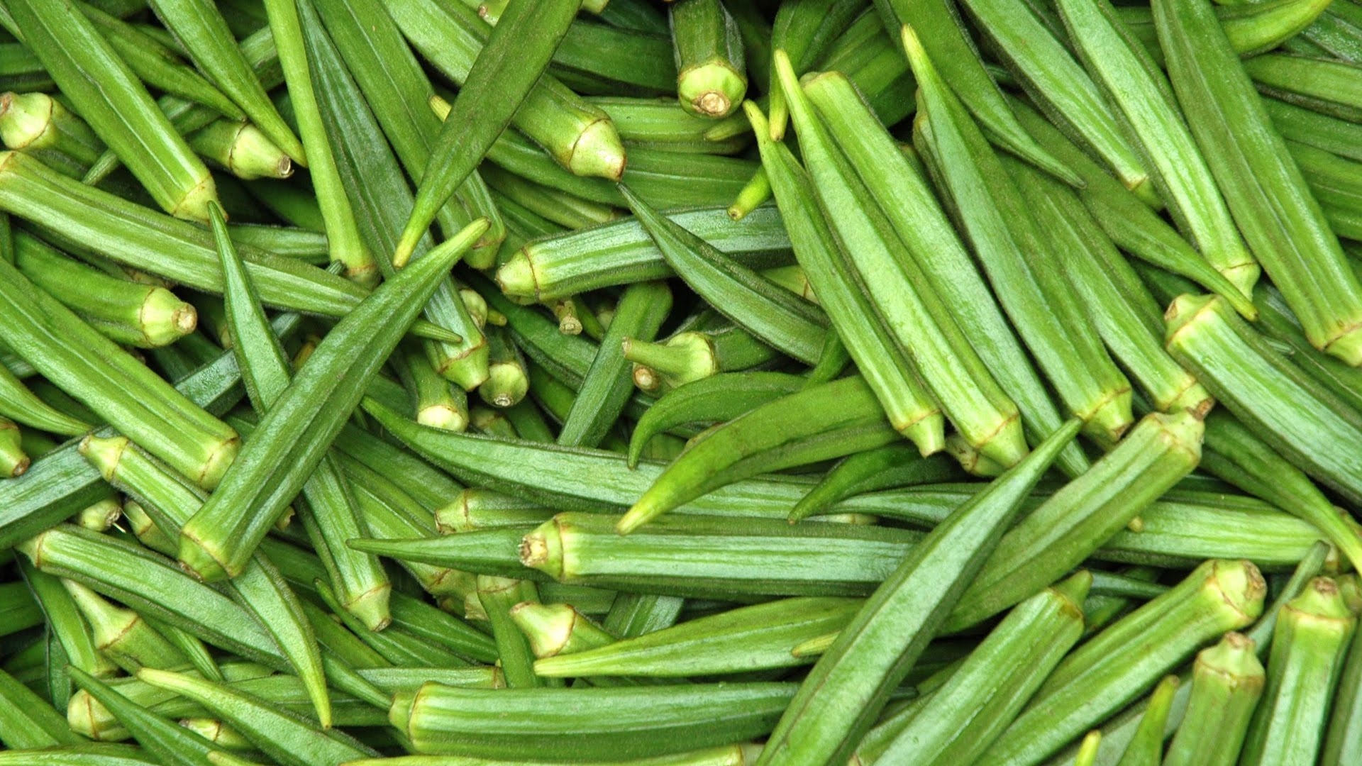 4966-okra.jpg