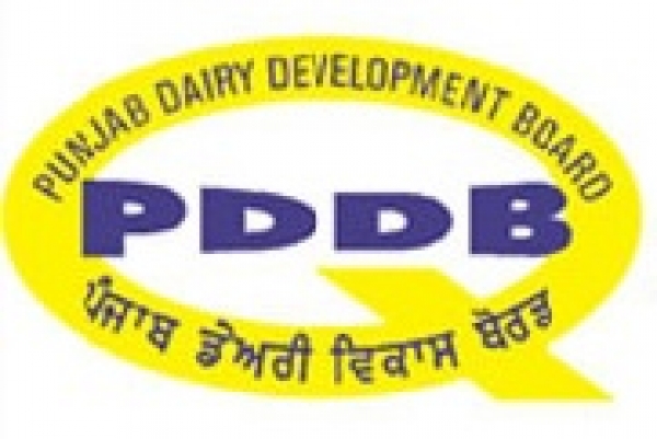 505-PDDB.jpg