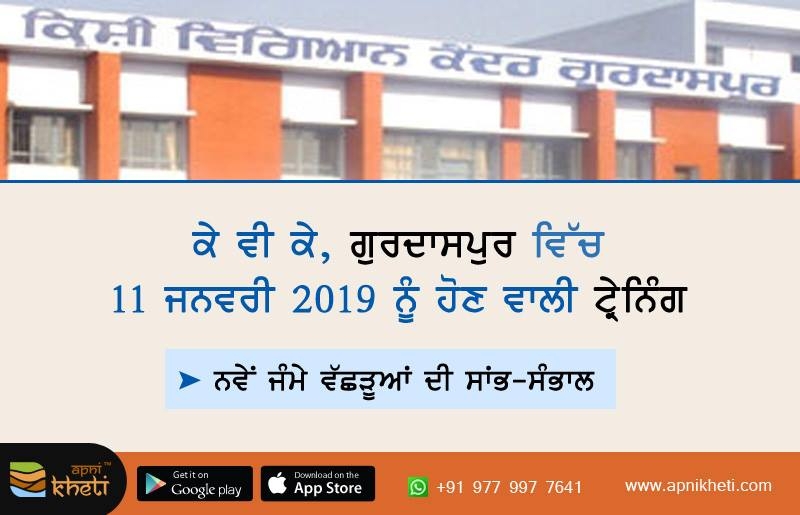 5727-KVK_gurdaspur.jpg 5727-KVK_gurdaspur.jpg