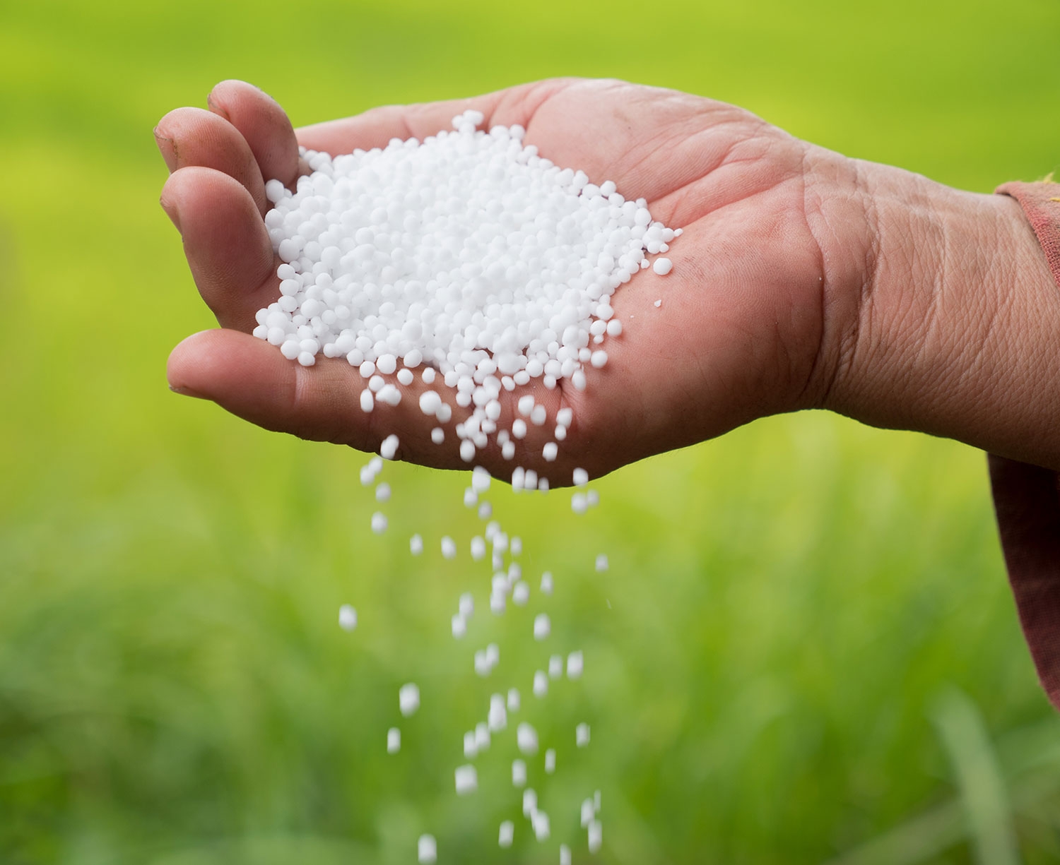 5824-fertilizer_urea.jpg 