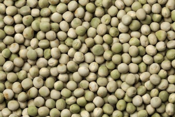 6224-pea_seed.jpeg