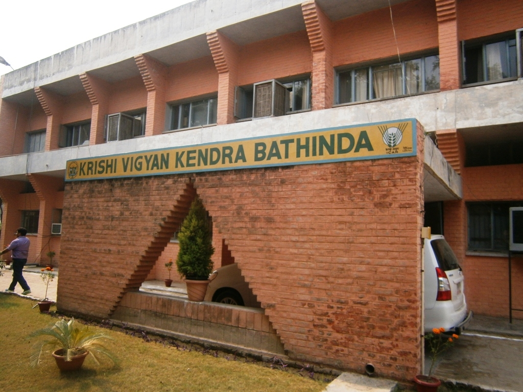 6667-Krishi_Vigyan_Kendra_Bathinda.jpg