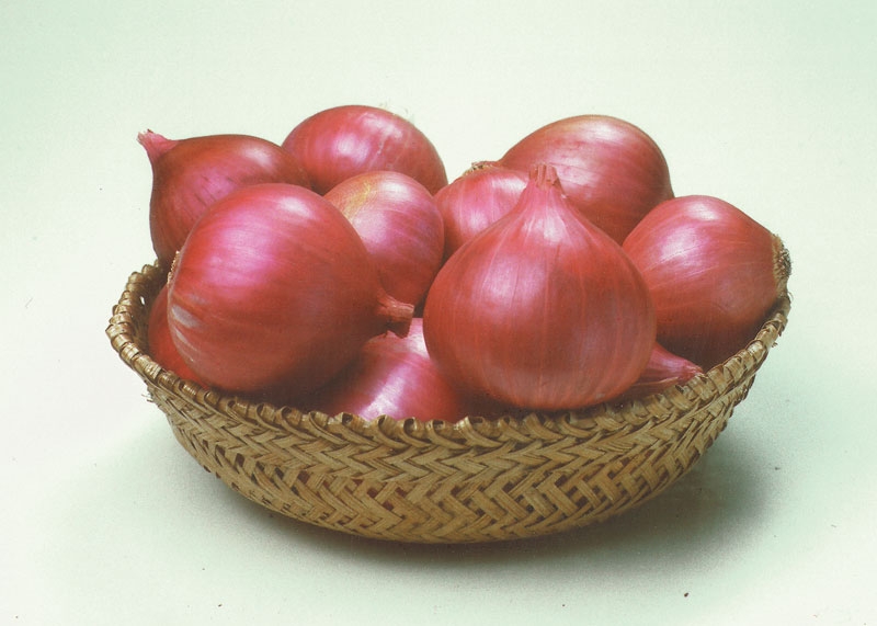 7979-new_onion_variety.jpg