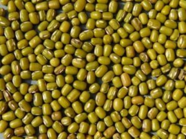8482-moong.jpg