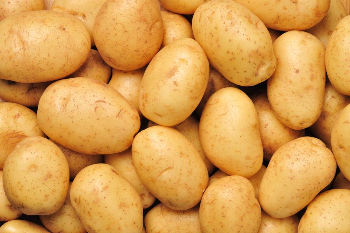 8761-potato.jpg