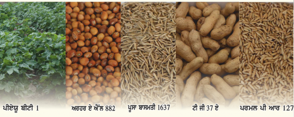 9078-varieties.png