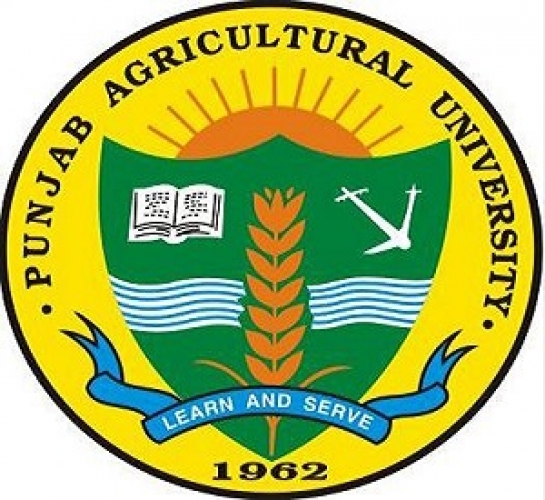 9998-1511766941PunjabAgriculturalUniversitySarkariJob.jpg 